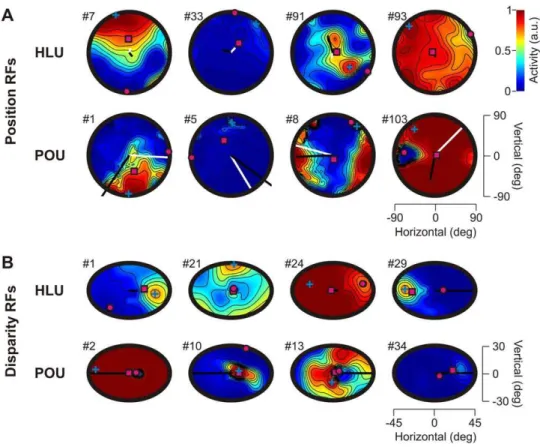Figure 3A shows typical visual position receptive fields (RFs) from HLUs and POUs (90deg visual fields)
