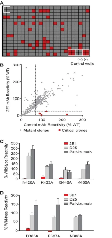 Fig 4. Identification of critical residues for mAbs 2E1 and 3B1 binding with shotgun mutagenesis epitope mapping
