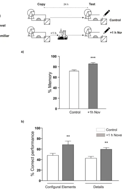 Figure 4. A graphical memory can also be enhanced by the experience of a novel science lesson