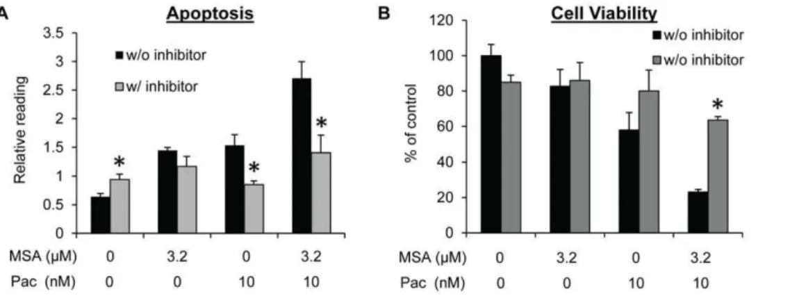 Figure 4. MSA enhances the effect of paclitaxel in inhibiting cell proliferation and inducing apoptosis in MDA-MB-157 and BT-549 cells