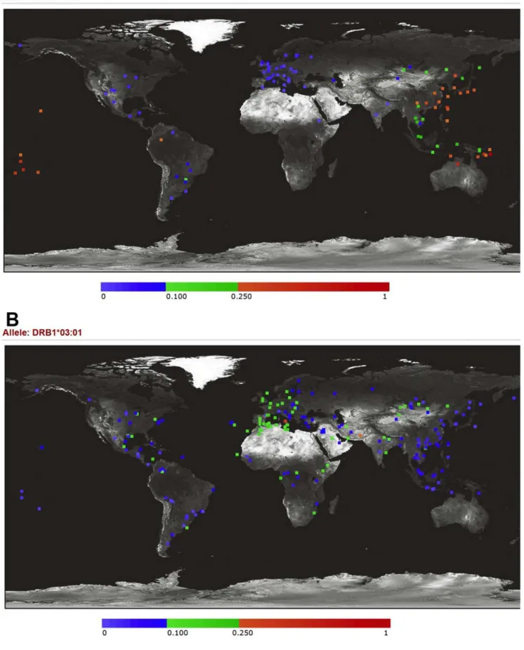 Figure 3. Allele frequency variations of HLA-DPB1*05:01 and HLA-DRB1*03:01 across worldwide populations