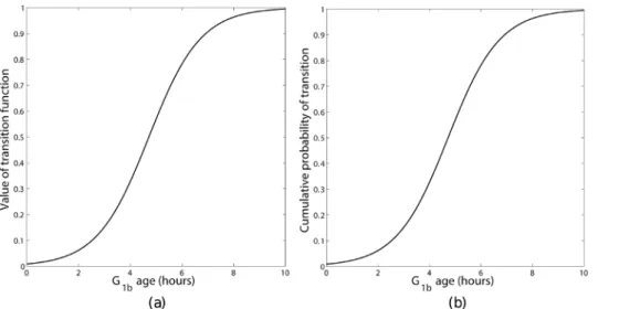 Figure 6. Constant transition function (a) with the corresponding cumulative probability of transition (b) as a function of G 1b age.