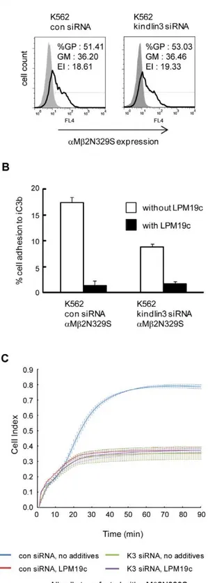Figure 4. Kindlin-3 is involved in integrin aMb2 outside-in signaling. (A) Flow cytometry analyses of aMb2N329S in cells transduced with control or kindlin-3-targeting siRNA