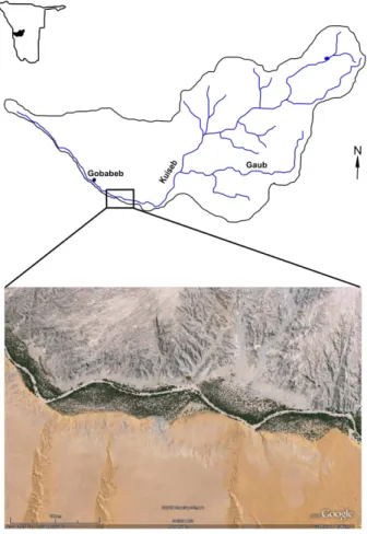 Fig. 1. Kuiseb catchment and middle part with dense riparian vegetation.