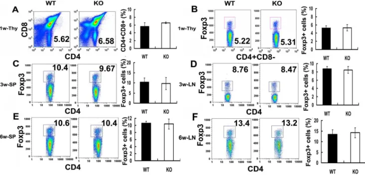 Figure 1. PGRN deficiency does not alter the generation of CD4+CD25+Foxp3+ T cells in vivo