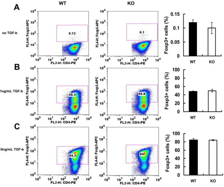 Figure 3. PGRN deficiency does not affect the conversion of naı¨ve CD4+CD25- T cells into iTreg mediated by TGF-b