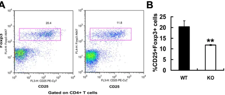 Figure 8. Wnt signaling components expression in wild type and PGRN-deficient CD4+CD25+ T cells measured by real-time PCR