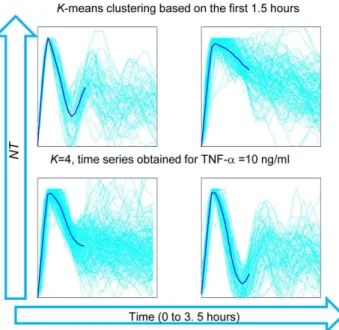 Figure 7. Clustering analysis of the short-term dynamics of NF- NF-k B. Clustering of the NT traces for the first 1.5 hours of cells exposed to 10 ng/ml TNF-a, using a K-means algorithm
