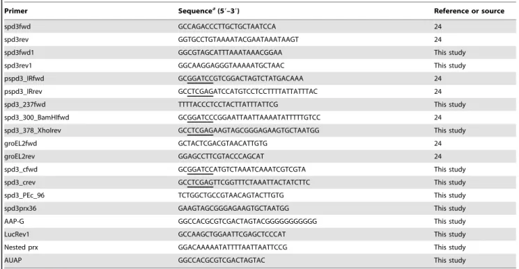 Figure 2. Primer extension analysis of spd-3 transcripts. RNA isolated from the wt (lane 5) and rgg mutant strain (lane 6) was used to identify the 5 9 end of the spd-3 transcript