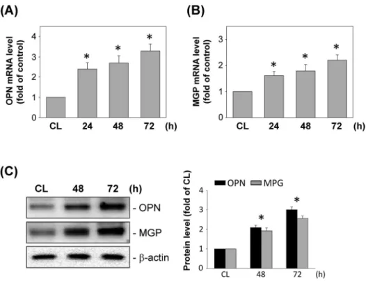 Figure 3. Effects of DM-MCM on synthetic differentiation marker expression in SMCs. Bar graphs represent folds of CL SMCs, mean 6 SEM from 3 independent experiments