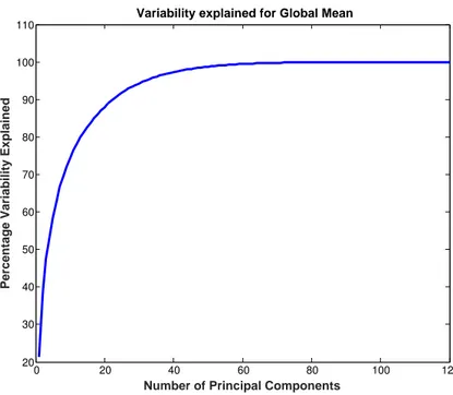 Figure 1. Percentage of variability explained for global mean by component scores.