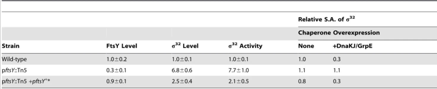 Table 1. The altered s 32 phenotypes of the Tn5 insertion mutant (pftsY::Tn5) are significantly complemented by an ftsY + plasmid.