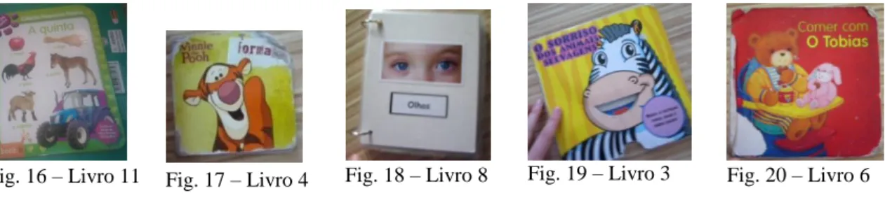 Fig. 14 – Livro 9  Fig. 15– Livro 12 