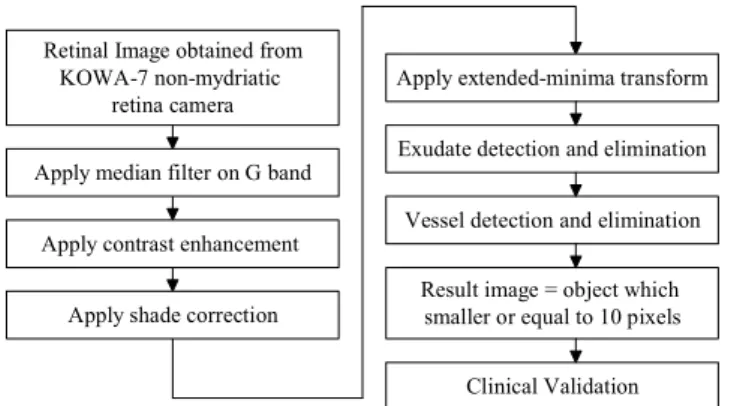 Fig. 1. (a) and (b) Retinal image containing microaneurysms. 