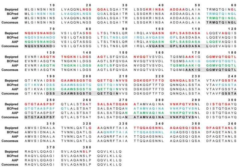 Fig 1. FliC Bp B-cell linear sequence-based epitope predictions using three predictor methods: BepiPred (threshold = 0.35), BCPred (classifier specificity = 75%), and AAP (classifier specificity = 75%)