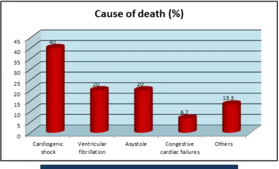 Figure 6: Showing immediate cause of death 