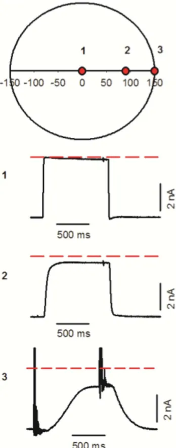 Fig 5. The effect of the off-center distance. The upper diagram is a schematic representation of a cross section of the stream
