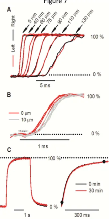 Fig 7. Symmetry and variability of the forward exchange. (A) Symmetric change in the exchange at increasing off-center distances