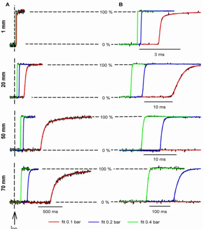 Fig 3. Time course of the forward exchange at different distances (horizontal panels) and pressures (line color) at the optimal position.