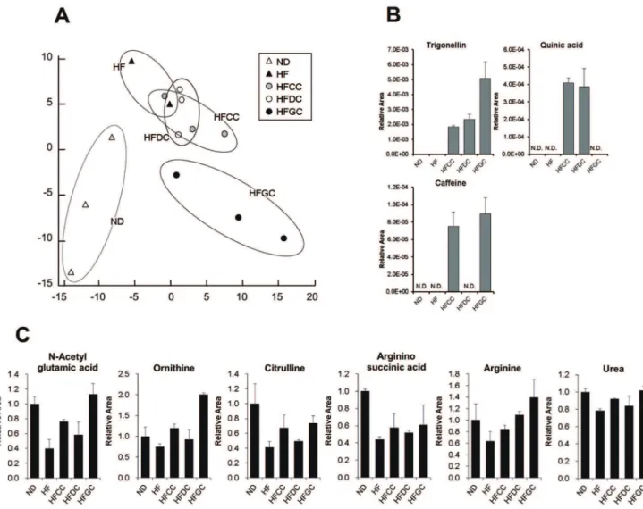 Figure 2. Metabolome analysis revealing the alterations in the urea cycle. (A) PCA (principal component analysis) of metabolomics datasets of the livers in each group