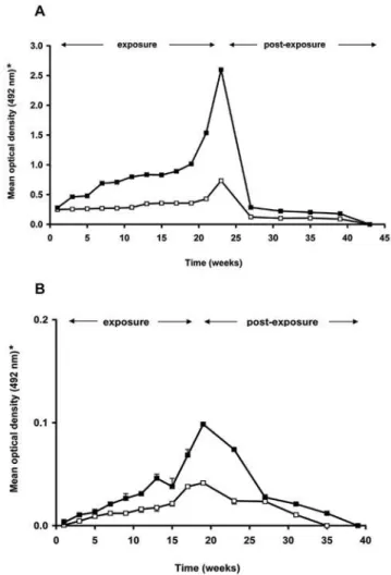 Figure 4. Evolution of serum IgG reactions to r Ti SP14.6 during exposure and post-exposure period