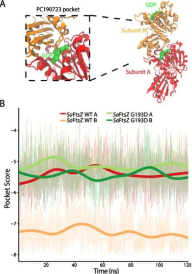 Fig 4. Pocket similarity score predicts that polymerization increases PC190723 binding affinity.