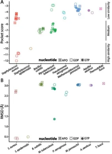 Fig 2. PC197023-binding pocket similarity scores depend on species and nucleotide-binding state.