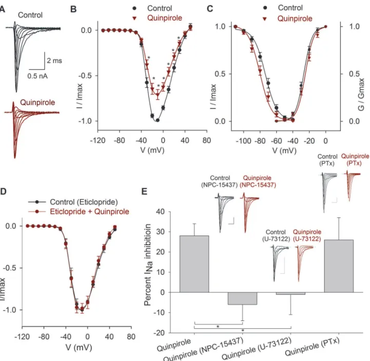 Fig 6. Effects of quinpirole on the I Na . A) Typical recordings of the I Na under control conditions and after 1 μM quinpirole perfusion