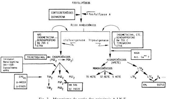 Fig. 4 - Capacidade de inibição da agregação dos PMN estimulados pela FMLP  (extraído de Kaplan e col., 1984) 
