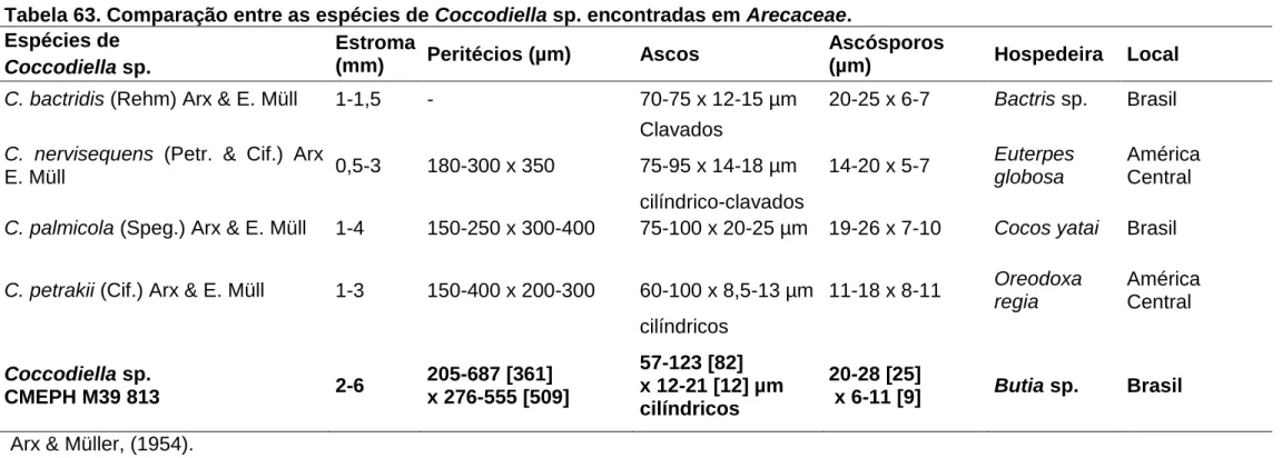 Tabela 63. Comparação entre as espécies de Coccodiella sp. encontradas em Arecaceae. 