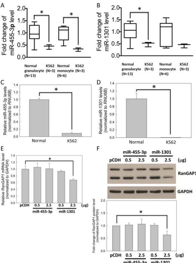 Fig 4. Expression level of miR-1301 was lower in CML cells compared with that in normal cells