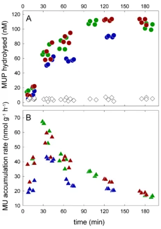 Fig. 1. Phosphatase activity in cryoconite samples from Werenskioldbreen. The initial substrate (MUP) concentration was 100 µM and saturating