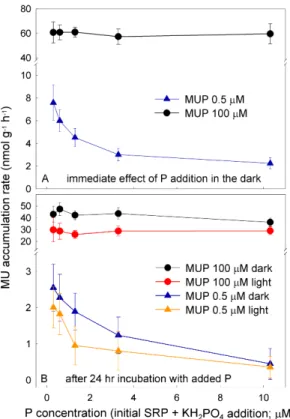 Fig. 3. E ff ect of P addition on the phosphatase activity rate in cryoconite samples from Weren- Weren-skioldbreen at saturating (100 µM) and near-in situ (0.5 µM) concentrations of the substrate.