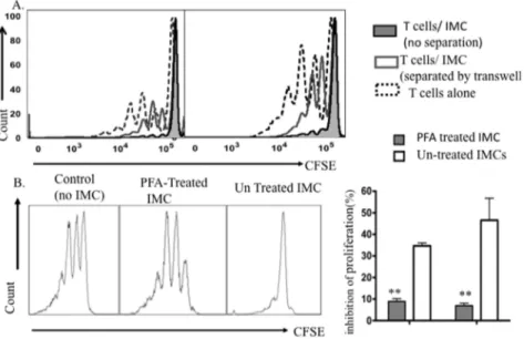 Figure S1 IMCs inhibit activation of Dynabeads activat- activat-ed T-cells. Freshly sorted naı¨ve BM-derived CD11b + GR-1 + cells and CFSE stained naı¨ve-spleen derived T-cells were co cultured in presence of anti-CD3/CD28 beads