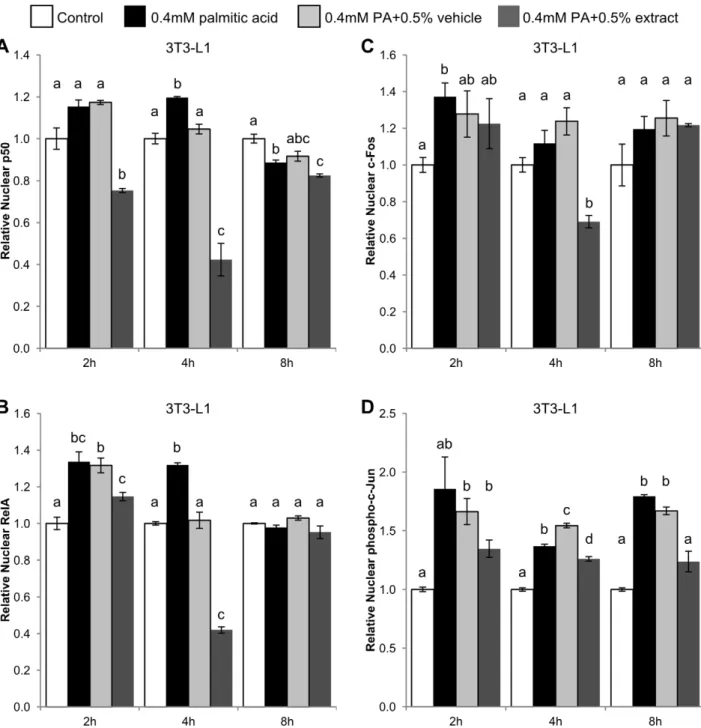 Figure 4. Effect of BEX on nuclear translocation of NF- k B and AP-1 transcription factors over time