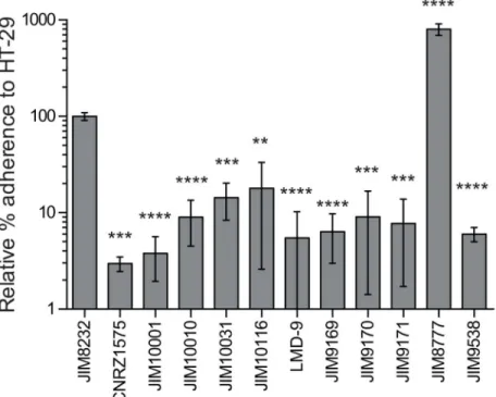 Fig 7. Adhesion to HT-29 cells of several S. thermophilus and S. salivarius strains. Adherent bacteria were counted as colony-forming units on M17 solid agar plates and the results are expressed as percentages of the input inoculum