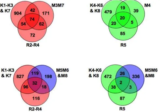 Figure 6. Distribution of radiomodulated genes in roots and seedlings. Venn diagrams show the extent of overlap between roots [3 experiments (M and R clusters)] and seedlings [8 experiments (K) clusters)]