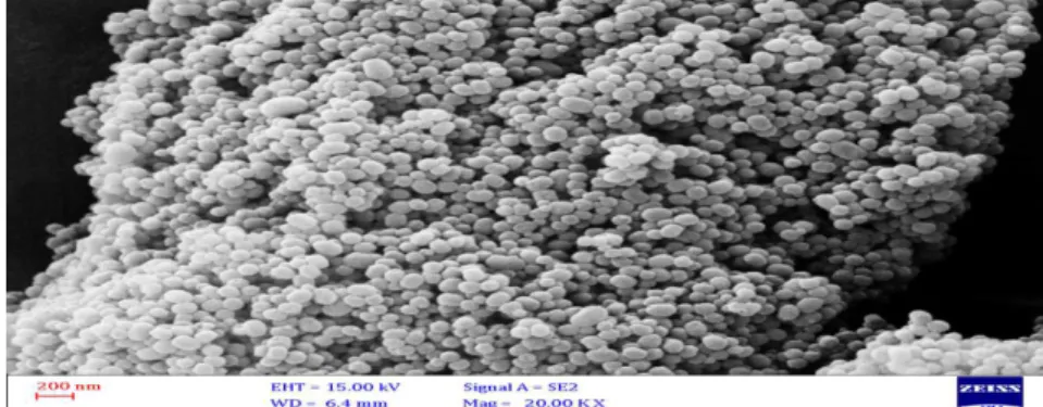 Figure 5. SEM image of nano 4Cu (SO) in the ionic liquid [HEMIM] [DCA] 