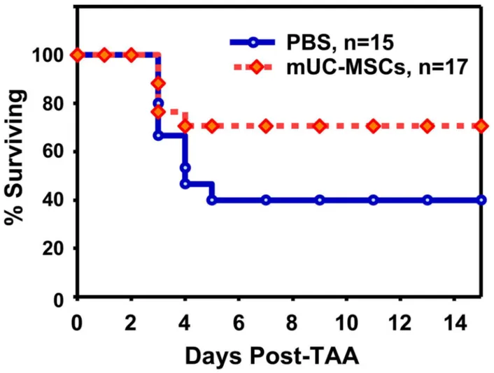 Figure  S1.    OCT4  protein  expressed  in  early  passages  of mUC-MSCs.    mUC-MSCs  were  recognized  by  mesenchymal