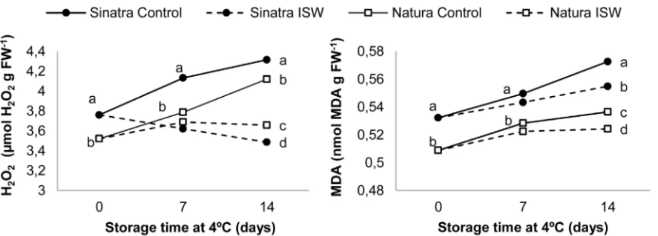 Fig 5. Contents of H 2 O 2 (A) and MDA (B) in control and ISW fruits of Sinatra and Natura cultivars, stored at 4°C