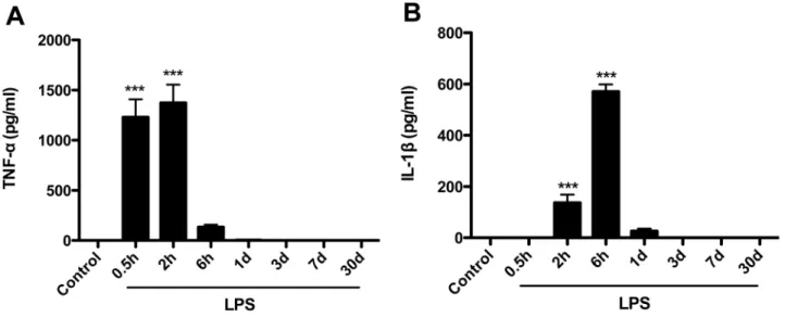 Figure 1. LPS increase systemic levels of TNF-a and IL-1b in aged rats. Animals were adminstrated either LPS (2 mg/kg) or equal volume of saline (i.p.)