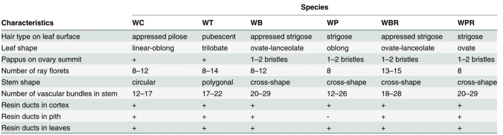 Table 3. Summary of macroscopic and microscopic characteristics observed for stem and leaf tissues of Wedelia species.