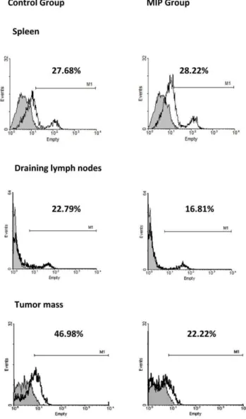 Figure 4. Treg cells in spleen, tumor draining lymph node and tumor mass. Single cell suspension from spleen, tumor draining lymph nodes, and tumor of control and MIP treated tumor bearing mice were analyzed for the expression of CD4 and FoxP3 by flow cyto