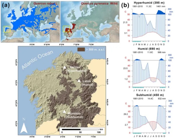 Figure 1. (a) Location of the study sites in the NW Iberian Peninsula and distribution range of Quercus robur and Q