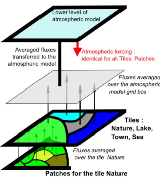 Fig. 3. Schematic representation of the organisation of the surface using four main tiles and patches for nature (soil and vegetation tile).
