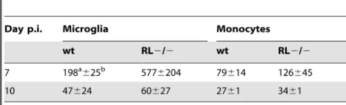 Figure 10. RNase L enhances microglia activation. Microglia activation in spinal cords from infected wt and RL 2/2 mice at day 7 p.i