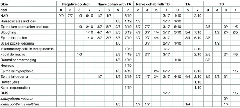 Table 4. Histopathological changes observed in skin of rainbow trout during the second cohabitation trial with puffy skin disease affected fish.