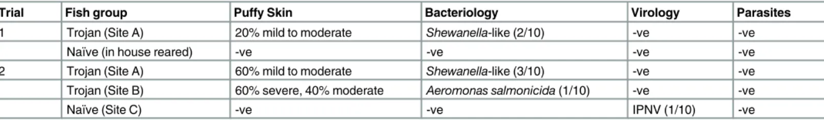 Table 2. Background disease status of na ï ve and PSD affected (Trojan) fish used in cohabitation experiments