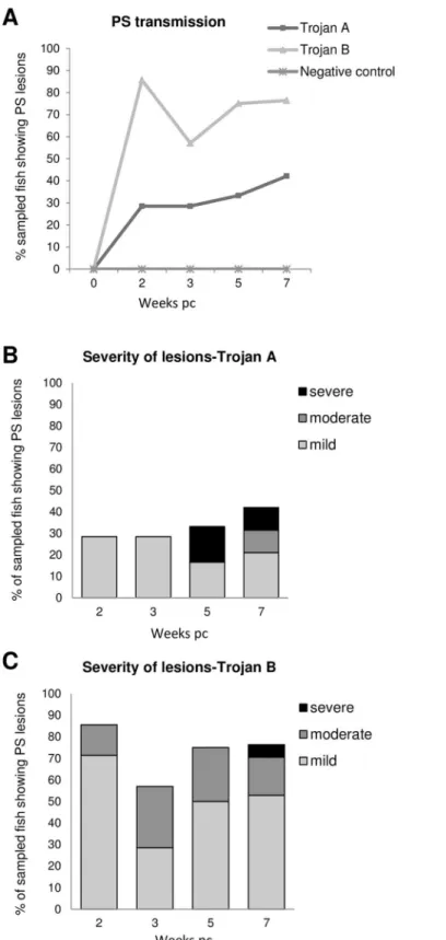 Fig 2. Second cohabitation challenge with PSD affected-fish (Trojans). (A) Percentage of sampled fish showing PSD clinical signs at each sampling point
