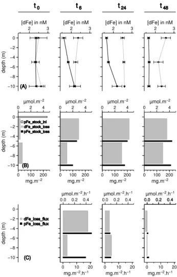 Fig. 5. Scavenging of dissolved iron on settling particles during the first 48 h of the DUNE-1-P experiment